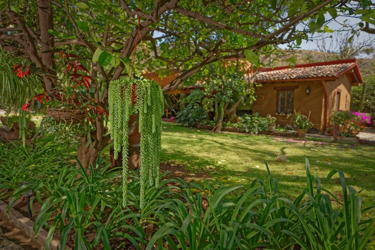 Casa Navacoyan Bed and Breakfast Malinalco Εξωτερικό φωτογραφία